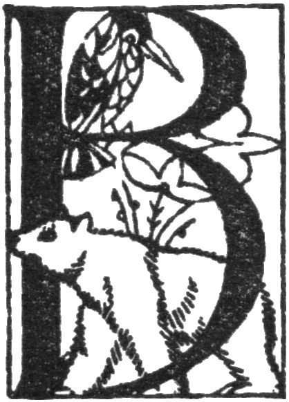 Letter B from Wonder book