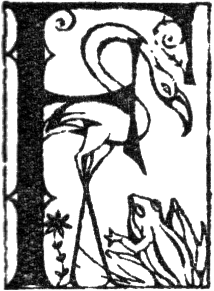 Letter F from Wonder book