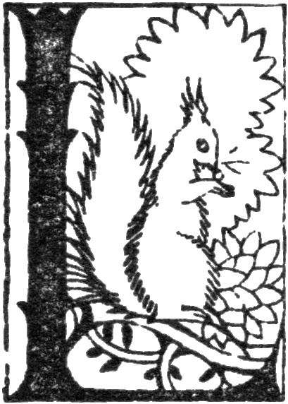 Letter L from Wonder book