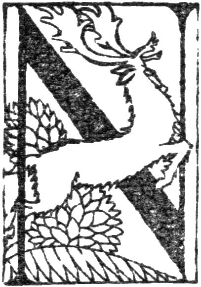 Letter N from Wonder book